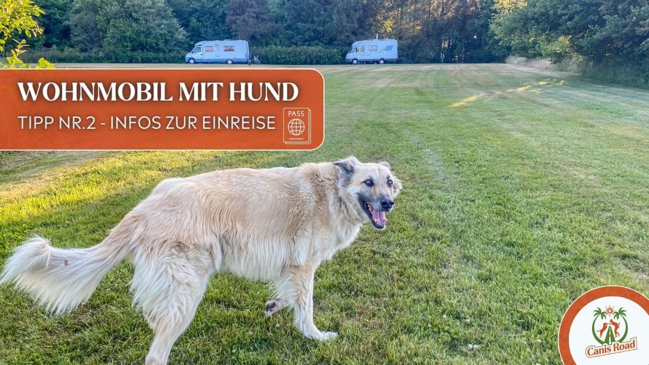 Wohnmobil mit Hund, campen mit Hund, camper mit hund, camping mit Hund, hund im Wohnmobil 