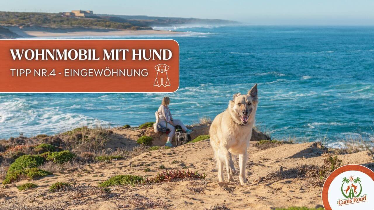 Wohnmobil mit Hund, campen mit Hund, camper mit hund, camping mit Hund, hund im Wohnmobil 