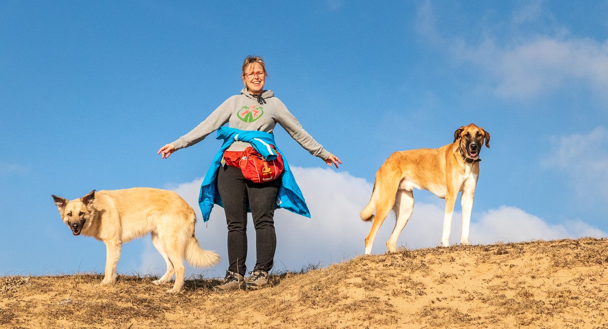 campen mit hund, wohnmobil mit hund, hund im wohnmobil