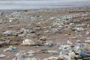 Strand voller Plastikflaschen in Italien