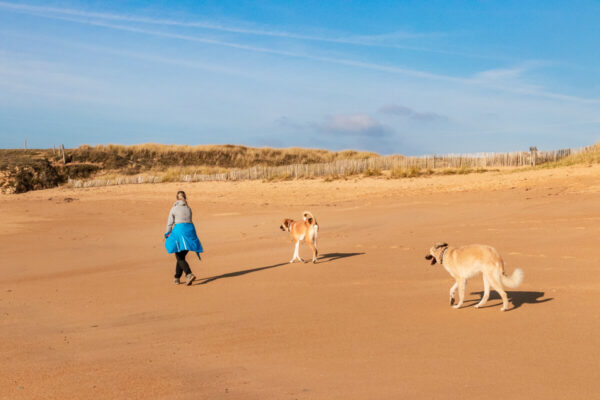 canisroad-reisebericht-erdeven-17 Canis Road - Reisebericht - Erdeven