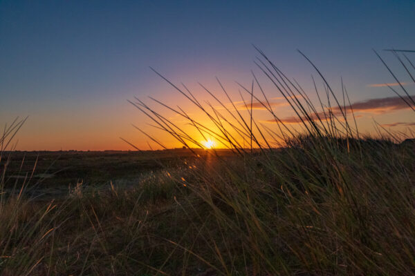 canisroad-reisebericht-erdeven-27 Canis Road - Reisebericht - Erdeven