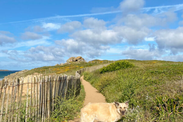 canisroad-reisebericht-erdeven-update_handy-100 Canis Road - Reisebericht - Erdeven