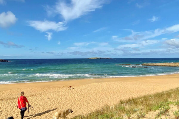 canisroad-reisebericht-erdeven-update_handy-121 Canis Road - Reisebericht - Erdeven