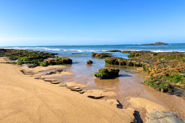 canisroad-reisebericht-erdeven-update_handy-2 Canis Road - Reisebericht - Erdeven