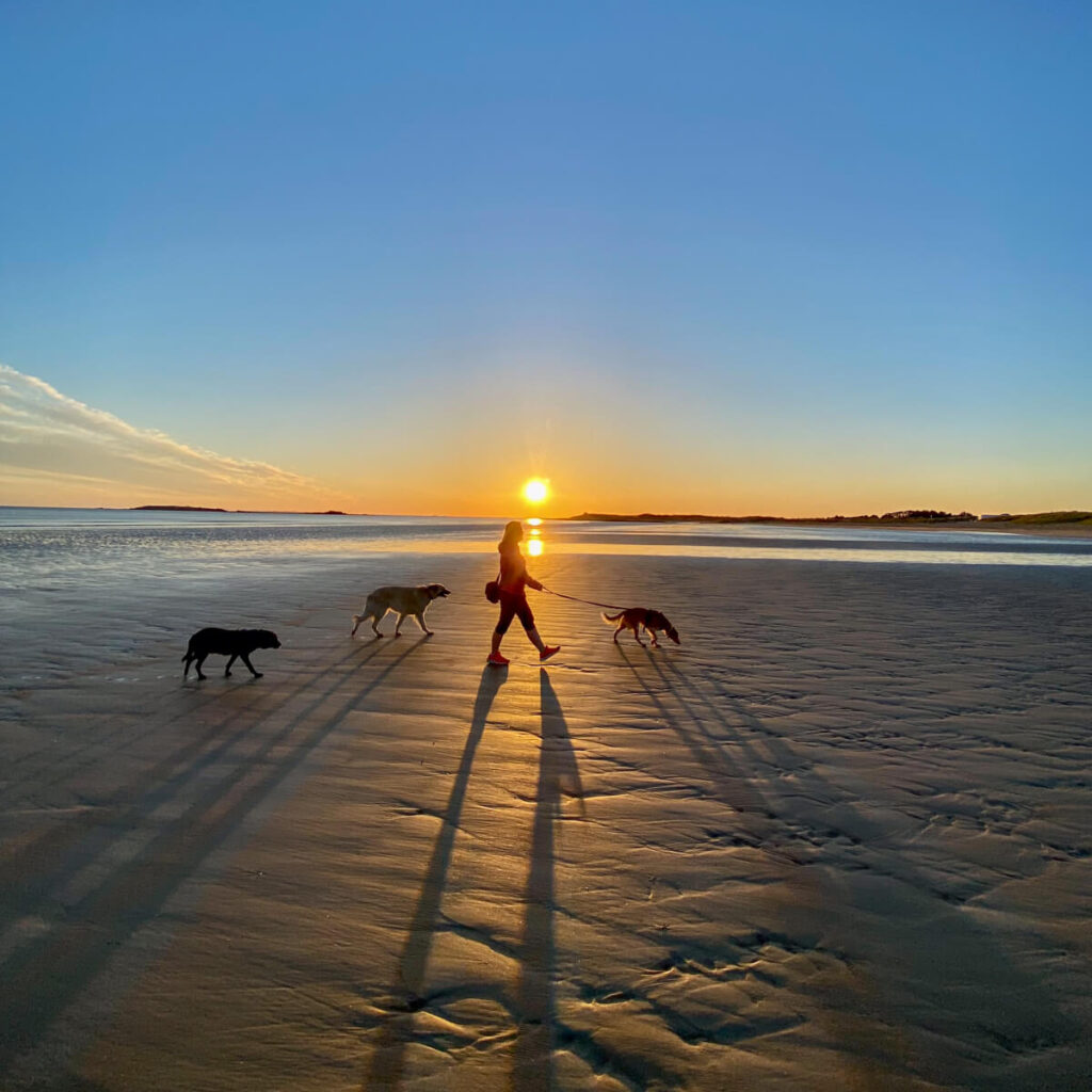 Canis Road - Reisebericht - Erdeven