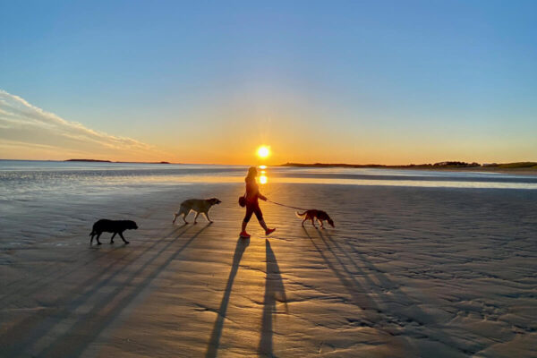 canisroad-reisebericht-erdeven-update_handy-42 Canis Road - Reisebericht - Erdeven