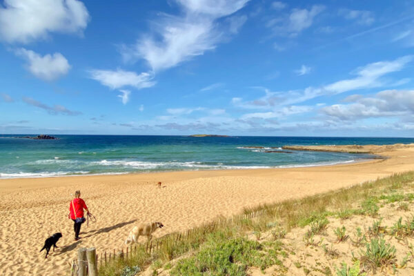 canisroad-reisebericht-erdeven-update_handy-92 Canis Road - Reisebericht - Erdeven