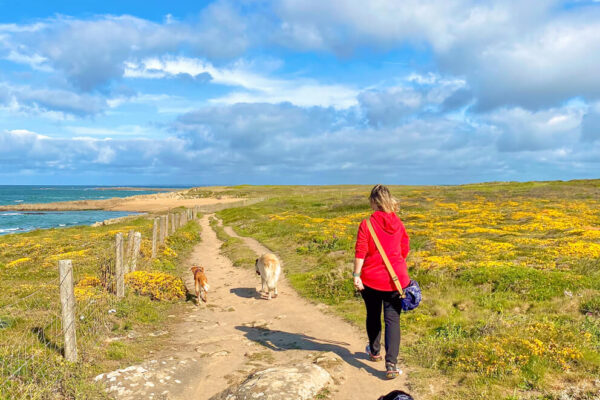 canisroad-reisebericht-erdeven-update_handy-96 Canis Road - Reisebericht - Erdeven