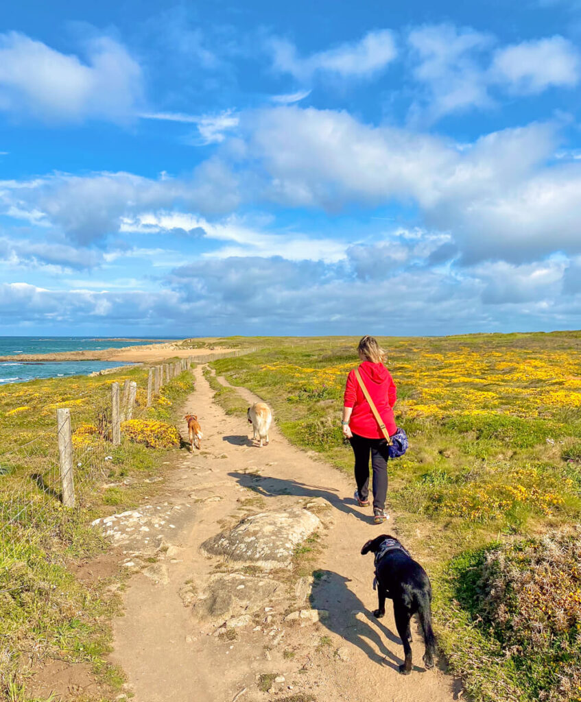 Canis Road - Reisebericht - Erdeven