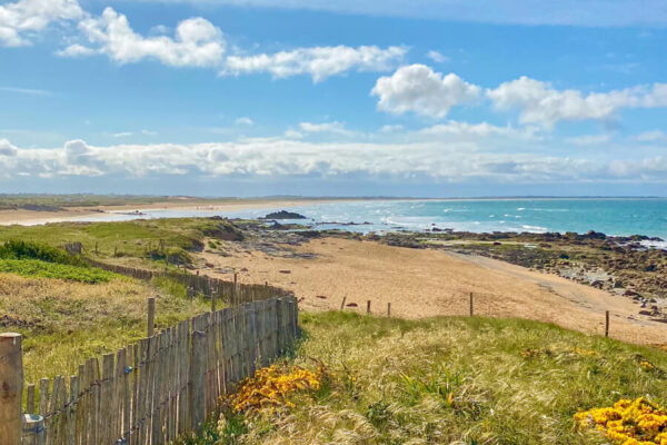 canisroad-reisebericht-erdeven-update_handy-99 Canis Road - Reisebericht - Erdeven