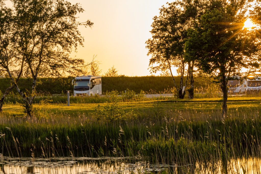 Wohnmobil mit Hund, campen mit Hund, camper mit hund, camping mit Hund, hund im Wohnmobil 