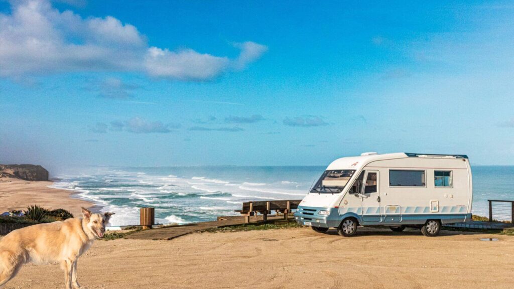 Leben im Wohnmobil Portugal mit dem Wohnmobil und Hund, camping mit hund, wildcampen portugal, Hunde am meer