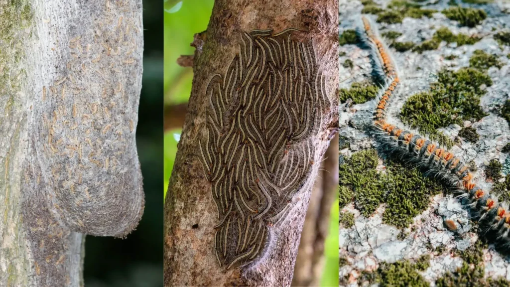 2 svg+xml;charset=utf