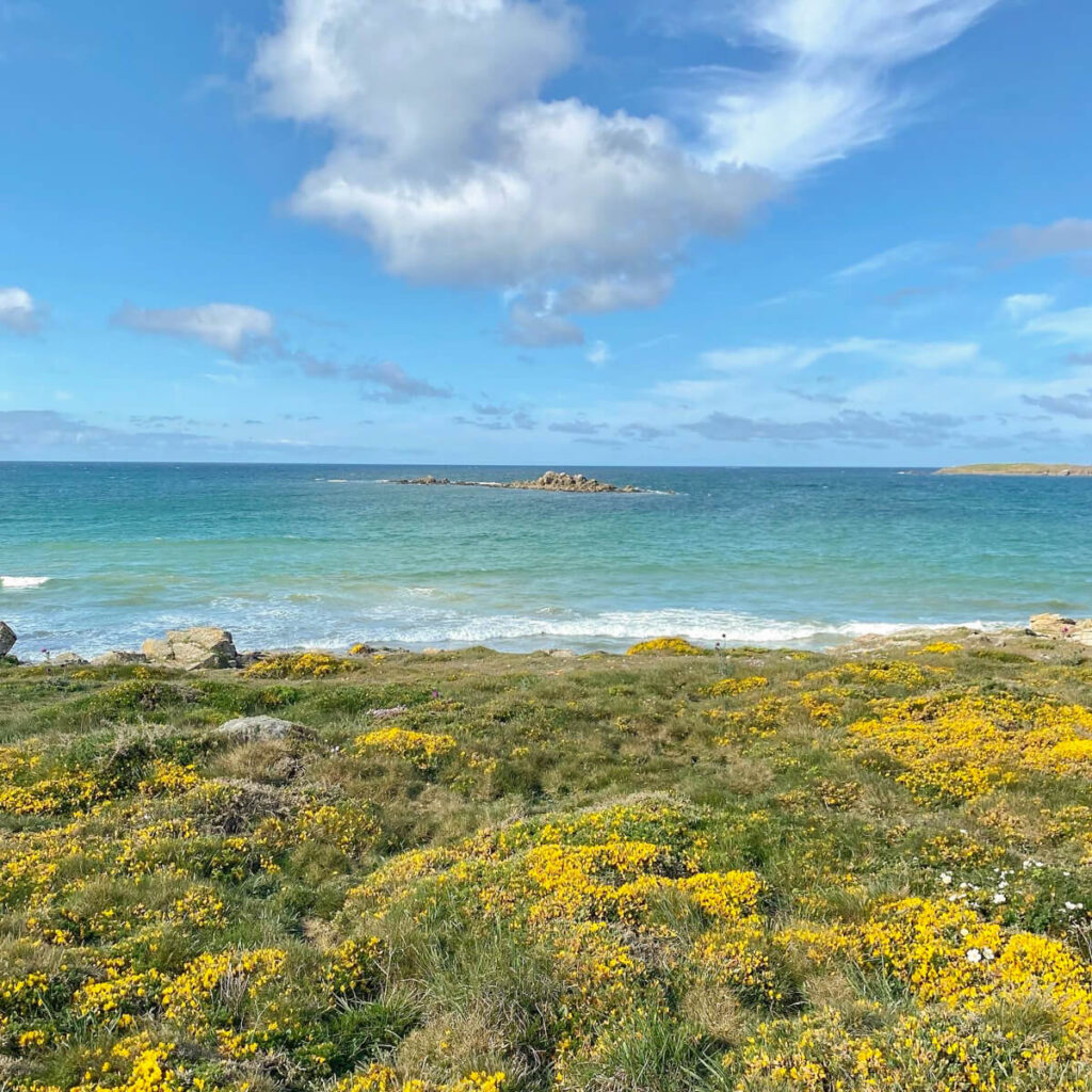 2C621451-A6FF-4934-830C-86F6A9F79D2A svg+xml;charset=utf