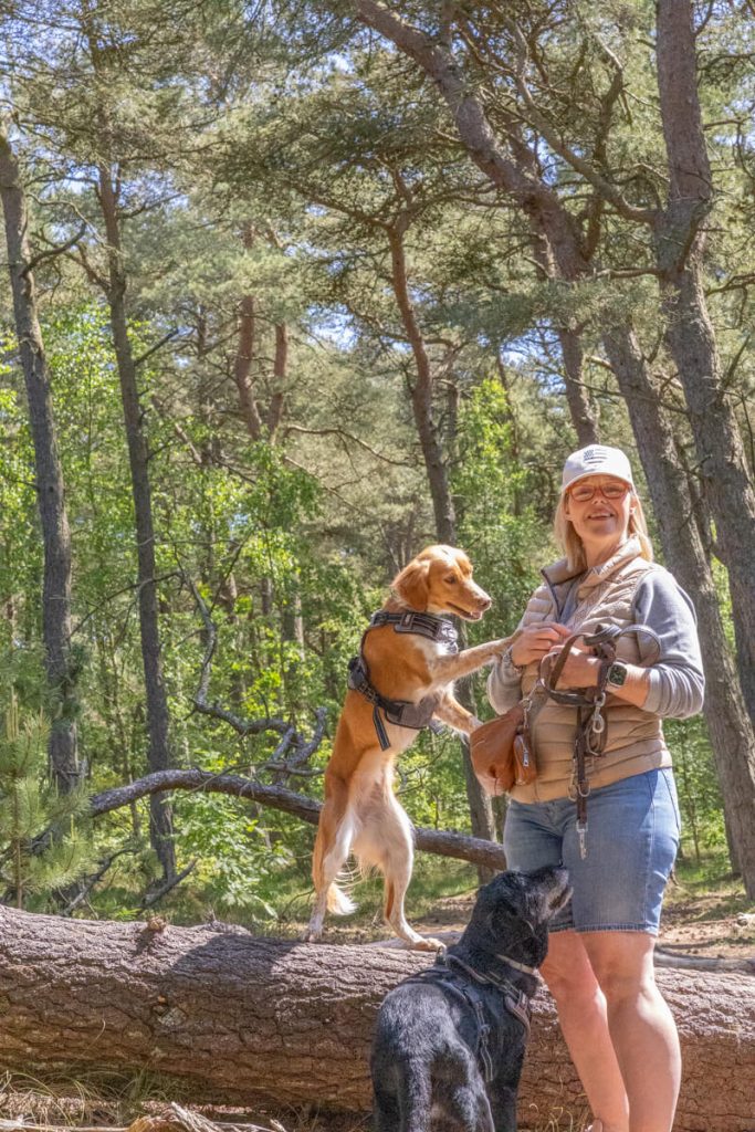 Frau trainiert mit Ihrem Hund im Wohnmobil Urlaub auf einem Baum und lacht dabei.