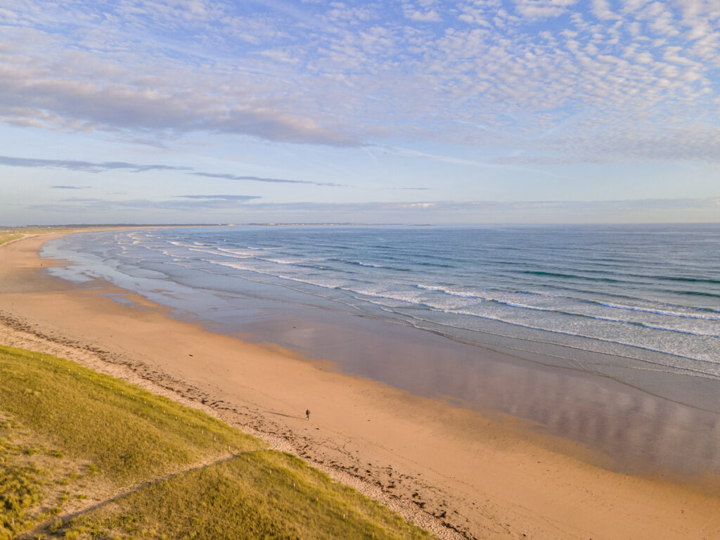 DJI_0744 svg+xml;charset=utf