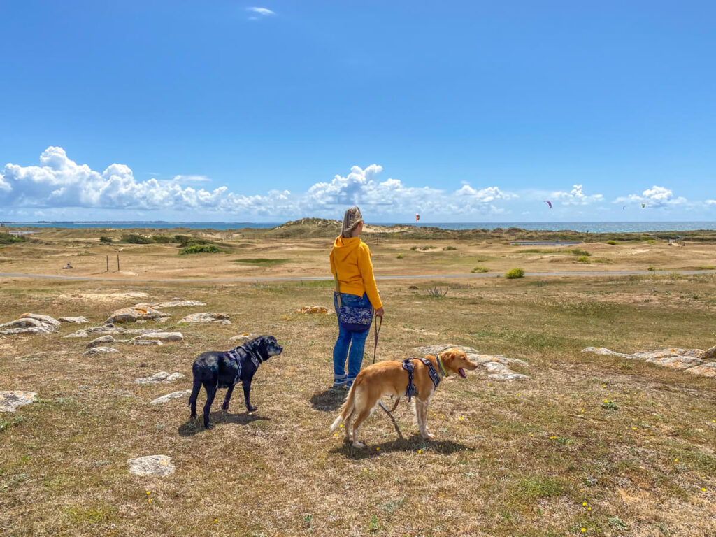 IMG_5712 Bretagne mit dem Wohnmobil, Wohnmobil mit hund