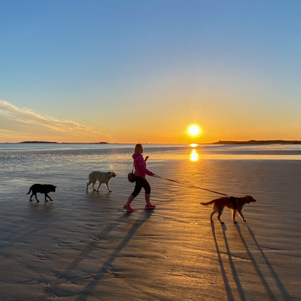 IMG_5849 Bretagne mit dem Wohnmobil, Wohnmobil mit hund