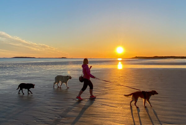 Bretagne mit dem Wohnmobil - 4 grandiose Tipps Bretagne mit dem Wohnmobil, Wohnmobil mit hund