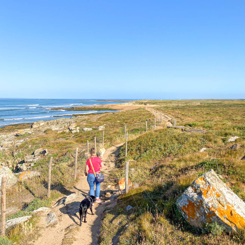 IMG_6150 Bretagne mit dem Wohnmobil, Wohnmobil mit hund