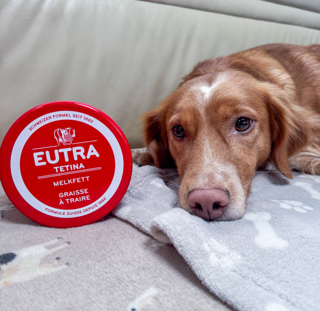 IMG_6390 Ballenpflege beim Hund mit Melkfett von Eutra Tetina