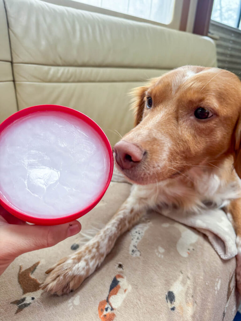 IMG_6394 Ballenpflege beim Hund mit Melkfett von Eutra Tetina
