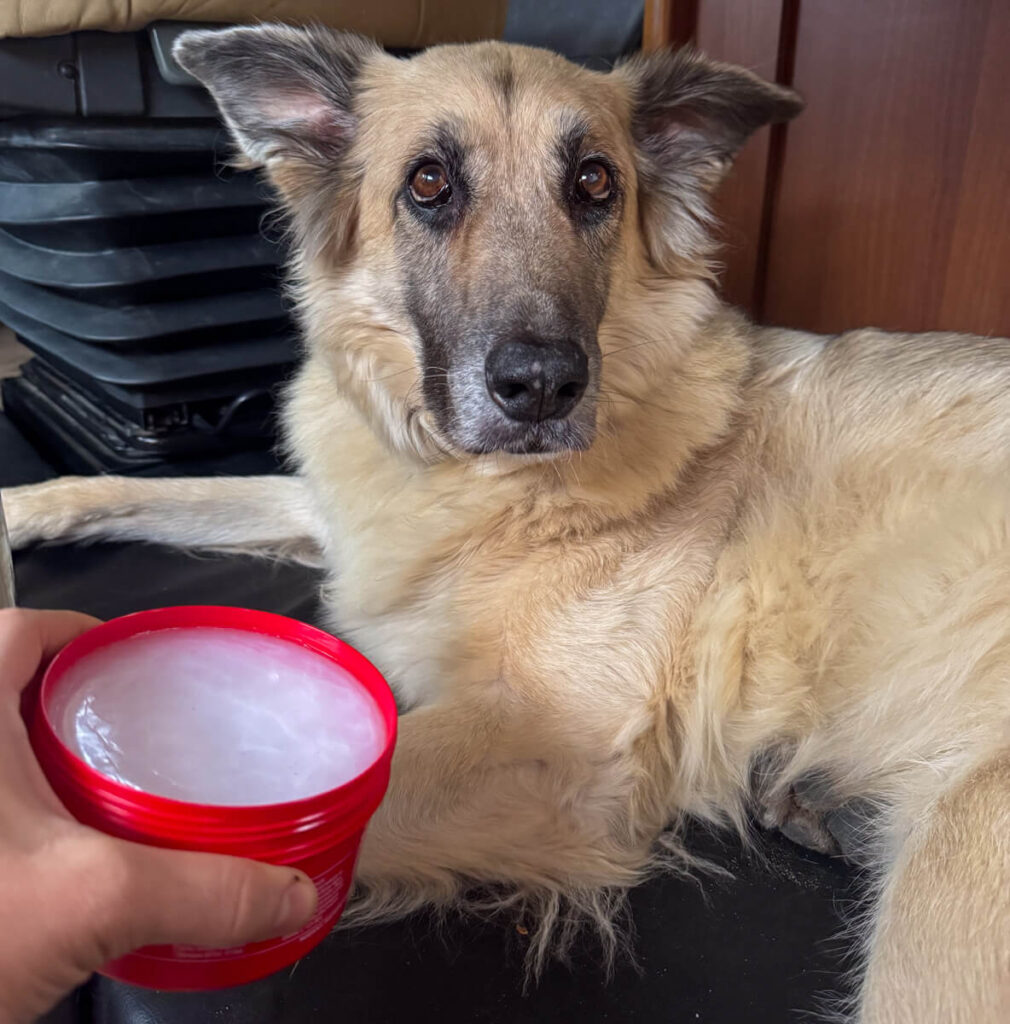 IMG_6402 Ballenpflege beim Hund mit Melkfett von Eutra Tetina