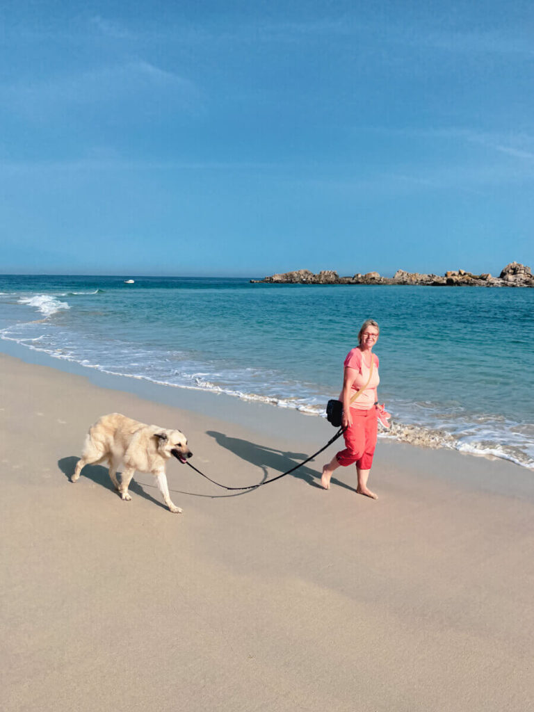 IMG_6431 svg+xml;charset=utf