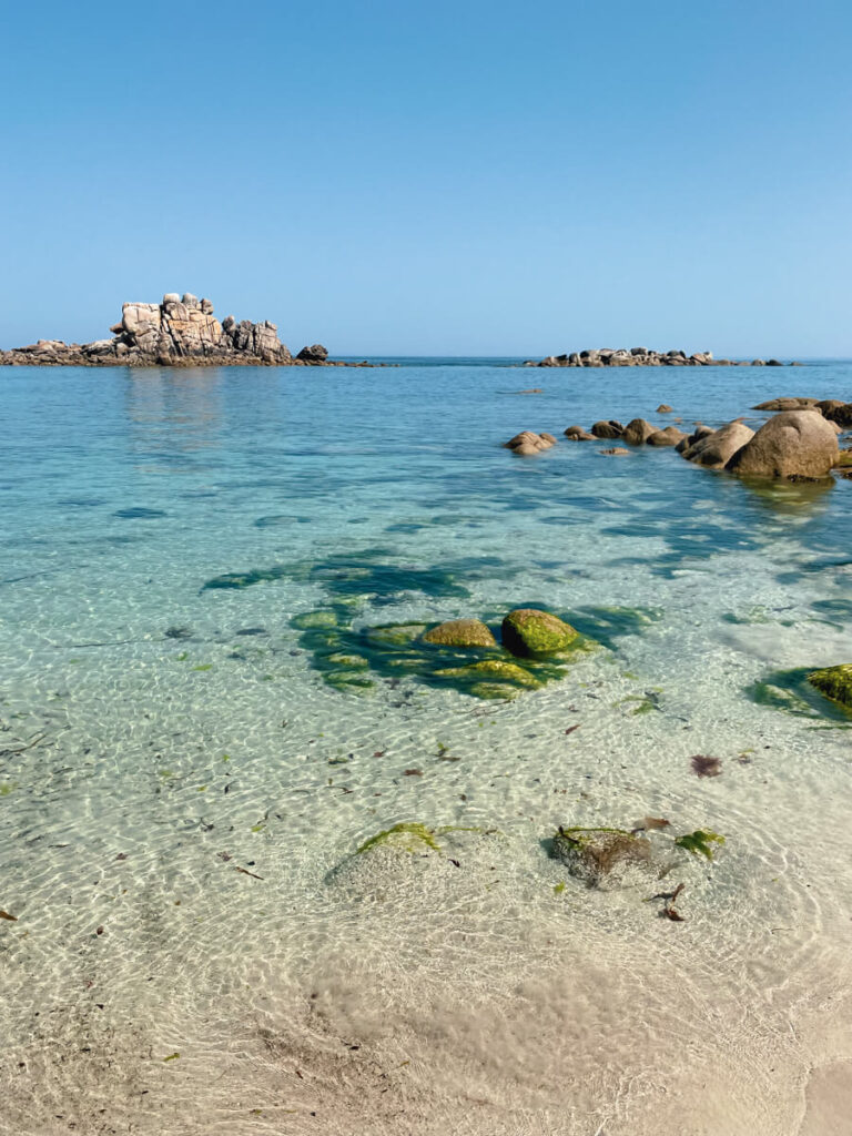 IMG_6573 Bretagne mit dem Wohnmobil, Wohnmobil mit hund