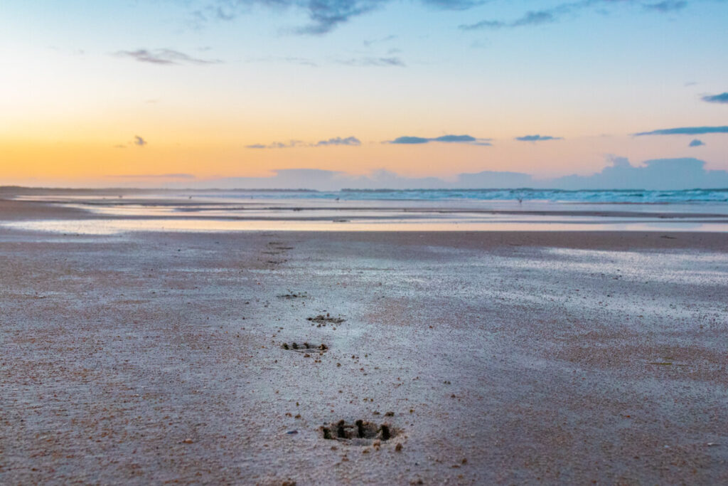 IMG_8074 Bretagne mit dem Wohnmobil, Wohnmobil mit hund