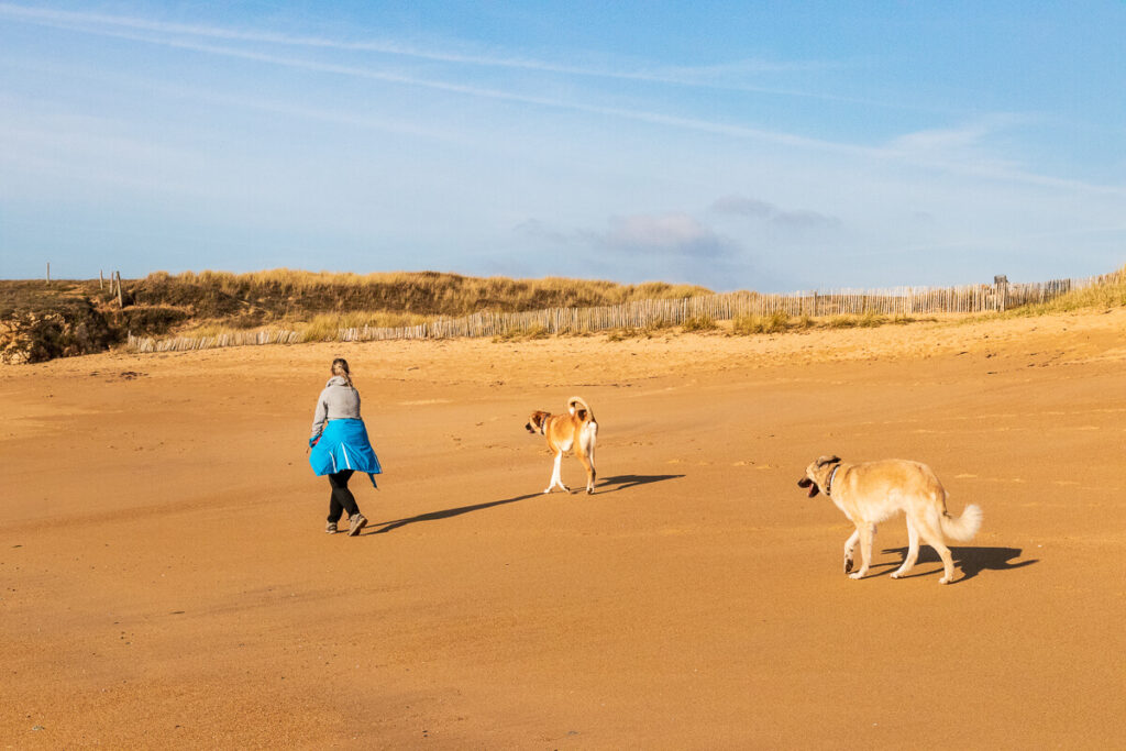 IMG_8319 Bretagne mit dem Wohnmobil, Wohnmobil mit hund