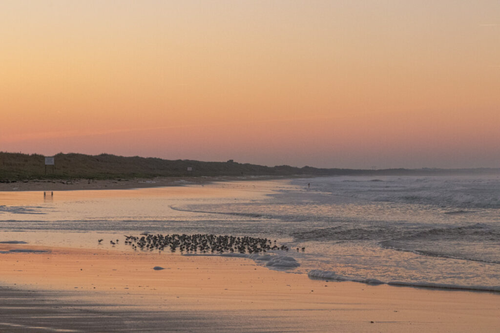IMG_8997 Bretagne mit dem Wohnmobil, Wohnmobil mit hund