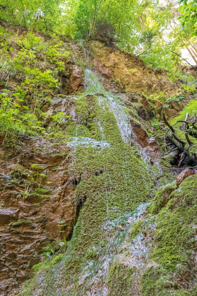 bilder-wutachschlucht Canis Road Reiseführer - Wutachschlucht - Wandern mit Hund im Schwarzwald