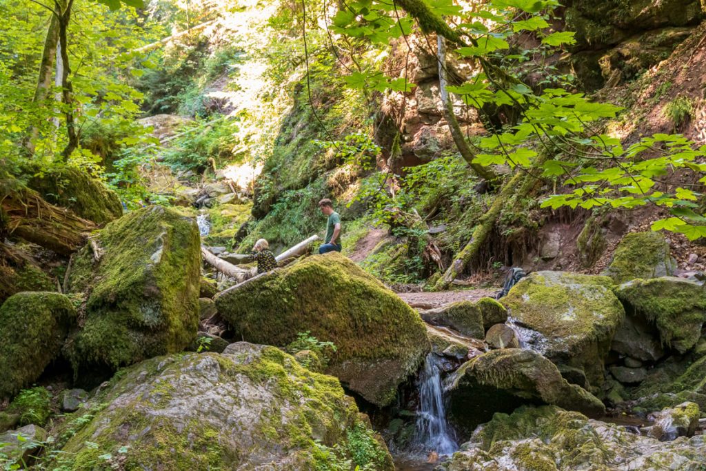 bilder-wutachschlucht4 Canis Road Reiseführer - Wutachschlucht - Wandern mit Hund im Schwarzwald