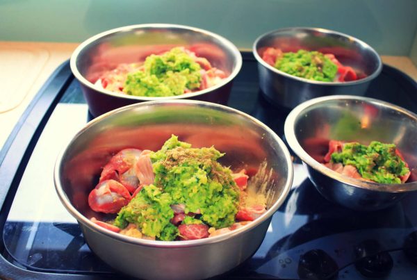 Canis Road - Kochen für Hunde - fertige Mahlzeit in Schüsseln