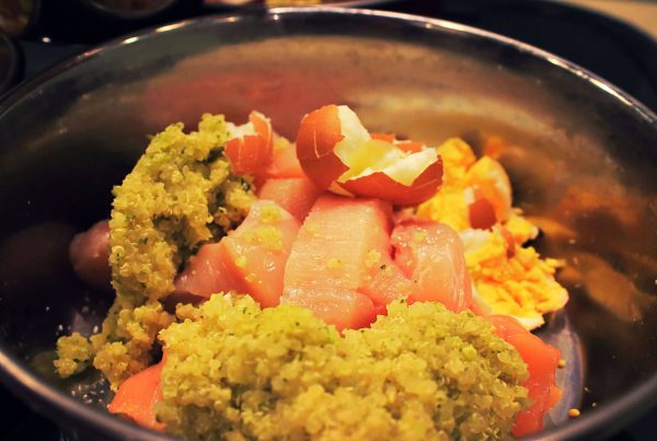 Hunderezept Zucchini mit Quinoa auf Putenbrust zum Selbermachen mit Canis Road