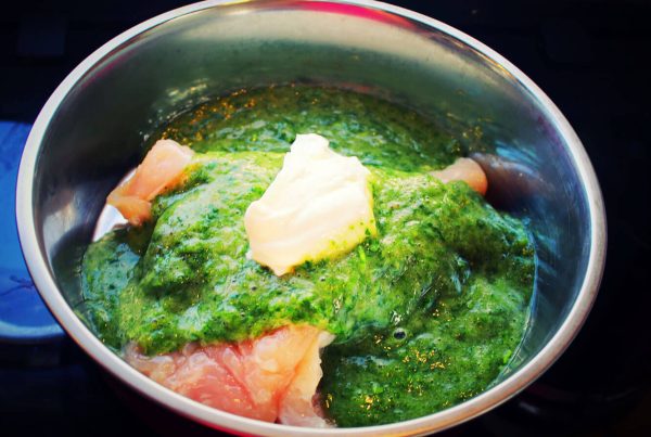 Putenfilet Hunderezept selber kochen mit Canis Road