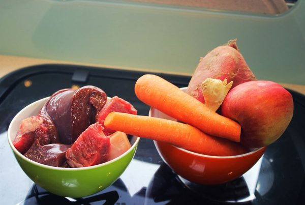 Hunderezept selber kochen mit Rind - Zutaten auf einem Tisch