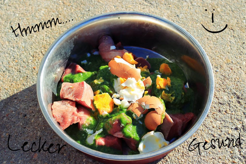 Hundefutter selbst machen Hunderezept selber gemacht Rinderzunge Spinat-Bananenpüree