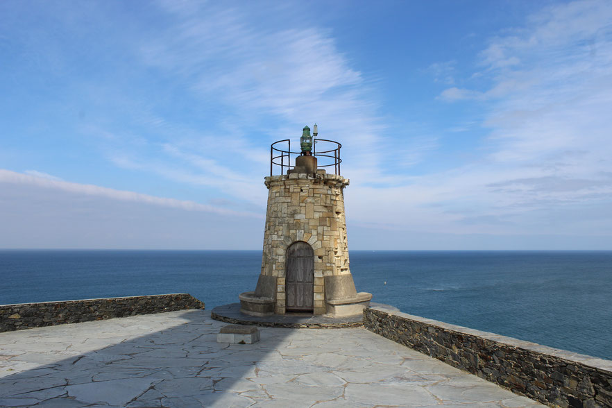 Die Herbstgrasmilbe - Ein lästiger Parasit für Hunde Leuchtturm am Meer mit Canis Road