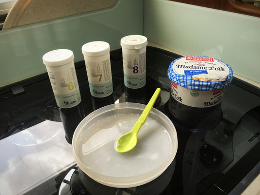 Die Herbstgrasmilbe - Ein lästiger Parasit für Hunde Naturheilkunde bei Grasmilbenbefall bei Hunden