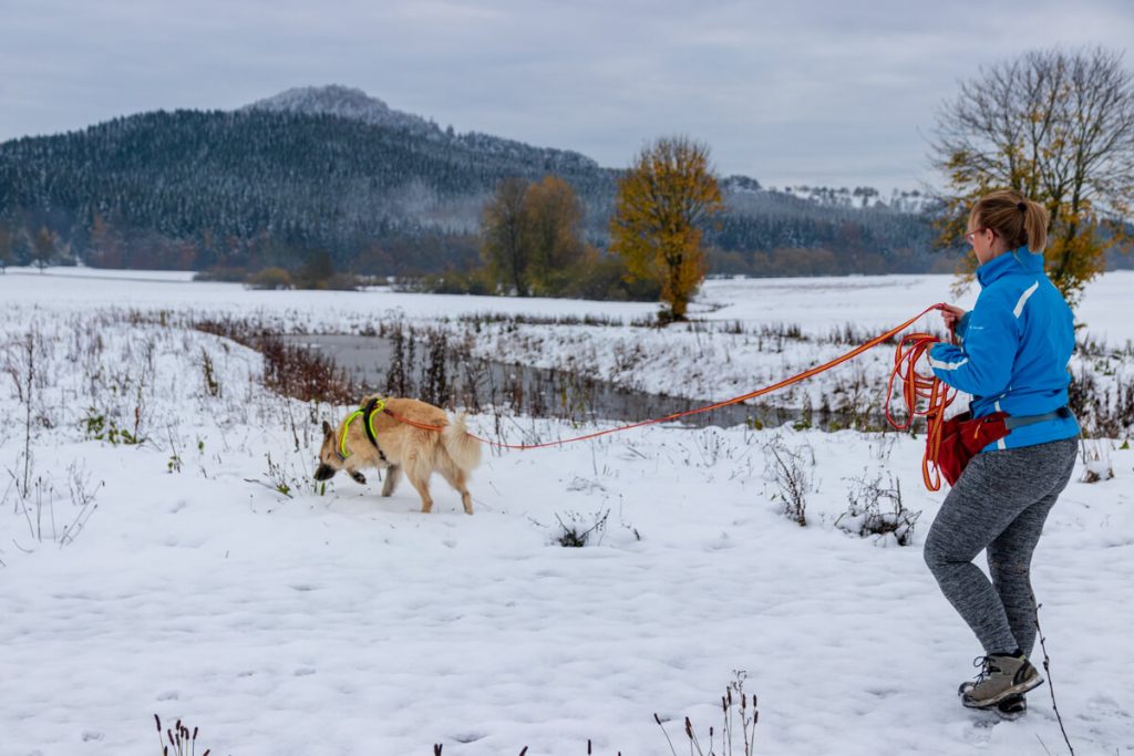 Canis Road beim Praxistest mit Niggeloh Brustgeschirr für Hunde im Schnee