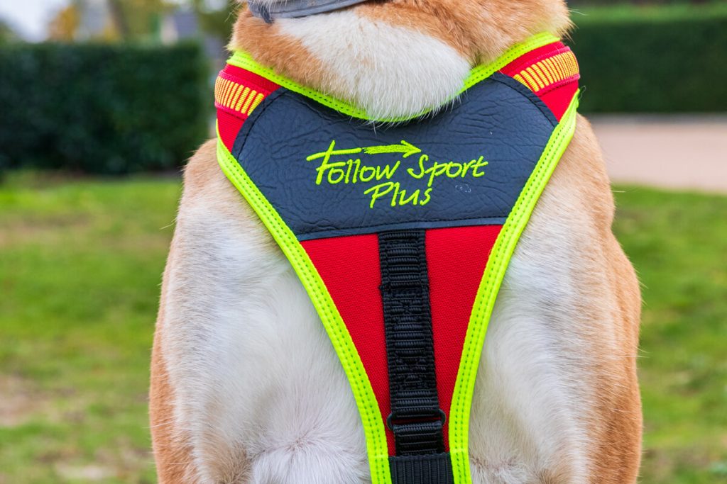 canisroad-ratgeber-hundewissen-hundegeschirr-test-2 Brustplatte Niggeloh Follow Sport Plus im Test mit Canis Road
