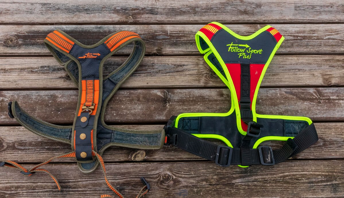 Hundegeschirr Niggeloh Follow Sport Plus im Praxistest Niggeloh Sport Plus VS Niggeloh Niggeloh Follow