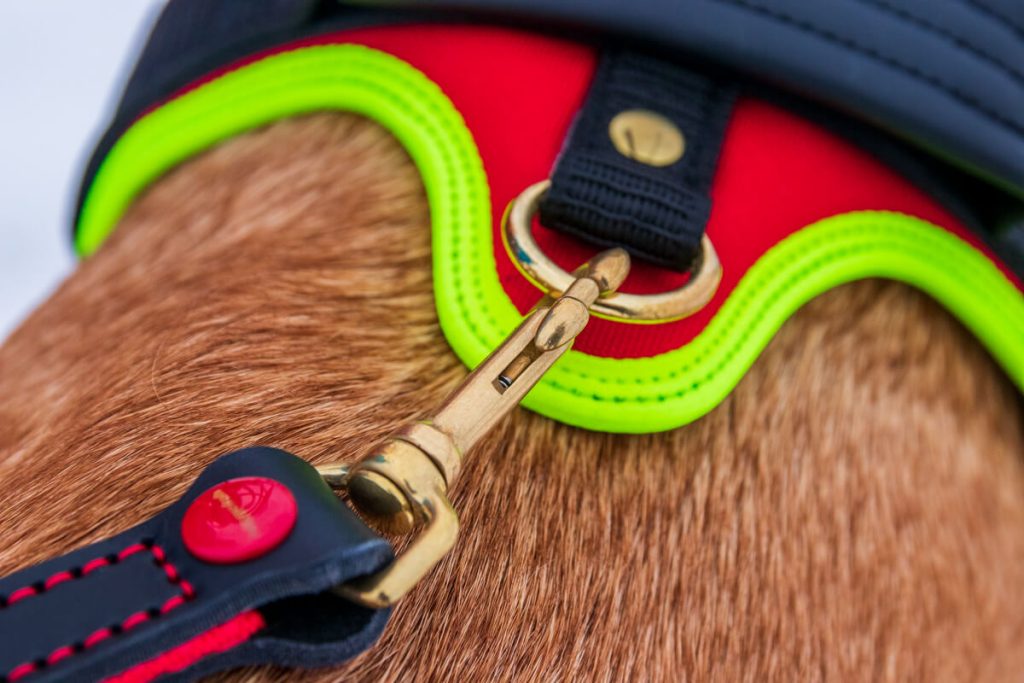 canisroad-ratgeber-hundewissen-hundegeschirr-test-4 Niggeloh Brustgeschirr Vergleich mit Canis Road