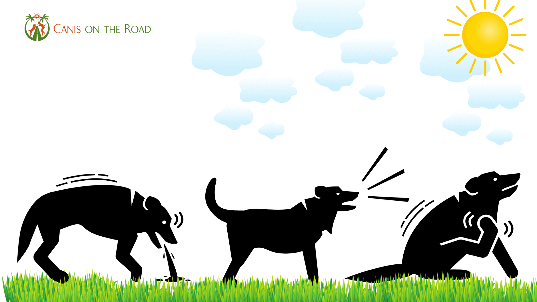 Wie wirkt sich Stress beim Menschen auf den Hund aus? svg+xml;charset=utf