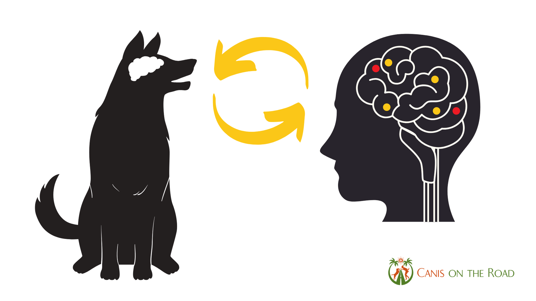 Wie wirkt sich Stress beim Menschen auf den Hund aus? svg+xml;charset=utf