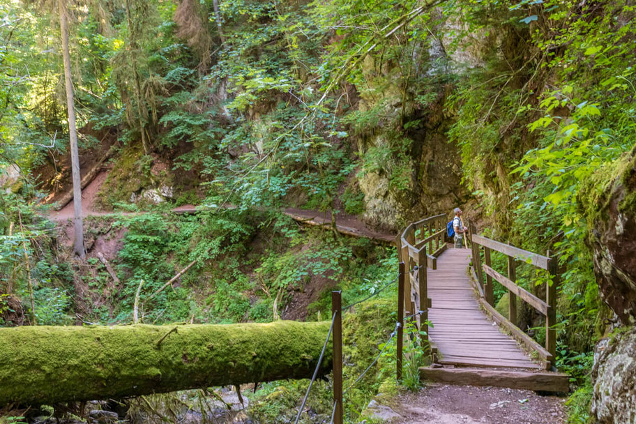 wutachschlucht-camping-mit-hund-schwarzwald-wandern-mit-_002 Canis Road Reiseführer - Wutachschlucht - Wandern mit Hund im Schwarzwald