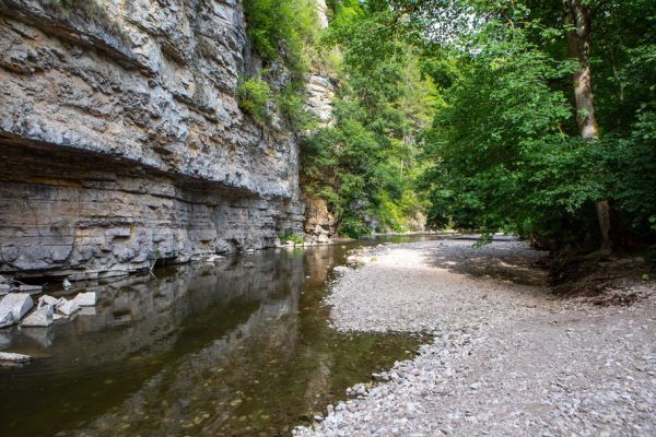 Canis Road Reiseführer - Wutachschlucht - Wandern mit Hund im Schwarzwald